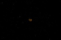 藏品(微小螺)的圖片